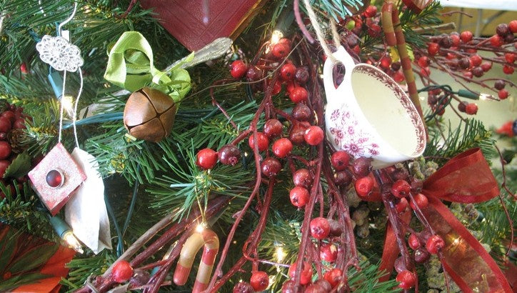 Recetas navideñas e ideas de manualidades con hierbas a la salida de la luna