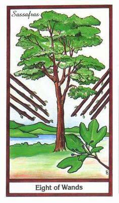 8 de Baguettes - Tarot & Thé