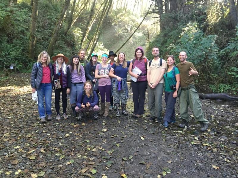 ¡Comenzando con Hierbas al amanecer!