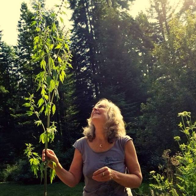 ¡Nuestra maravillosa Jane! - ¡Comenzando con Hierbas comienza esta noche!