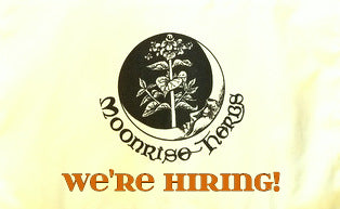 ¡Estamos contratando! Puesto de atención al cliente P/T