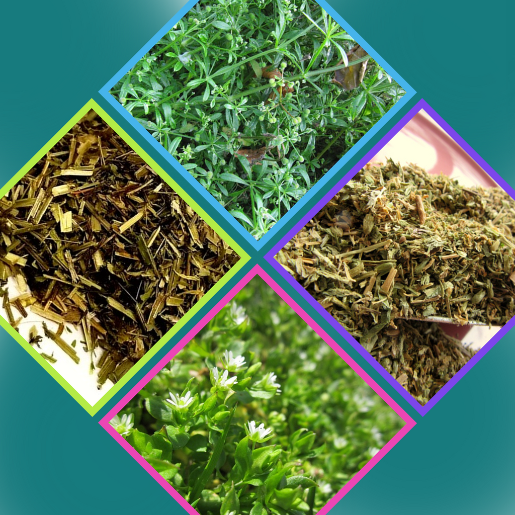 Hierbas de primavera - Miércoles de sabiduría a base de hierbas