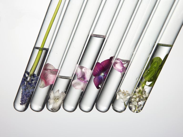 Dosificación energética