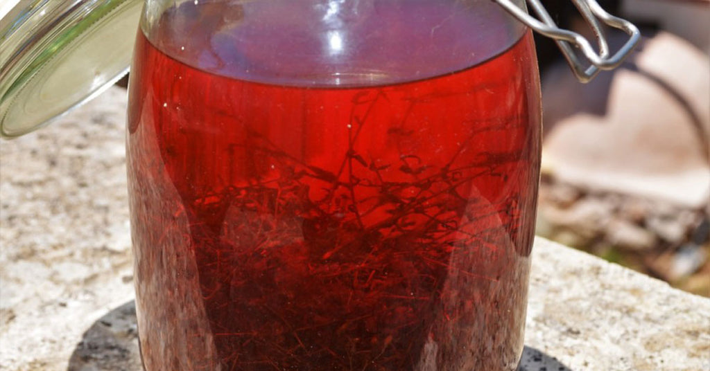 Seminario web gratuito sobre aceites herbarios con Kami McBride