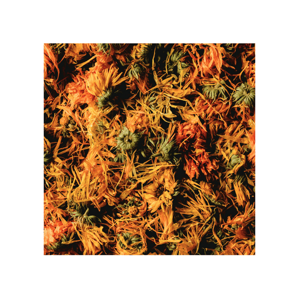 Fleurs de Calendula, Bio 1oz