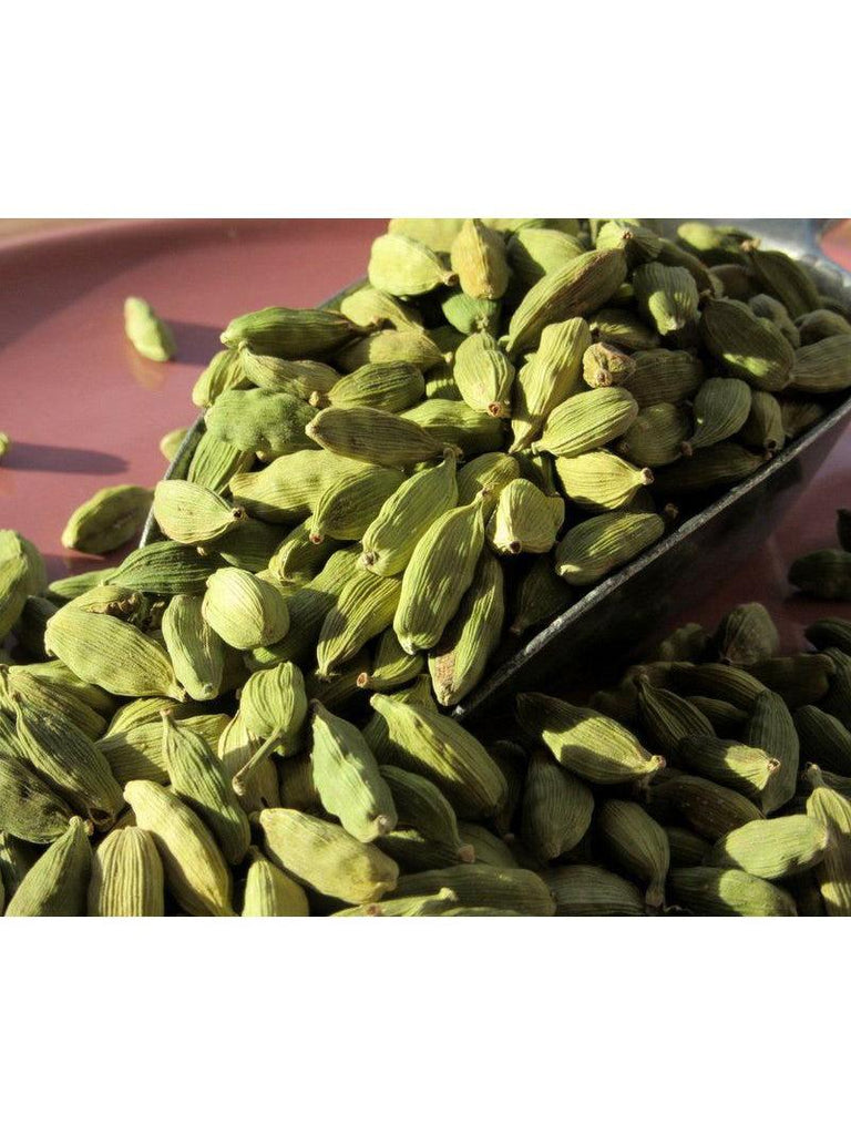 Gousses vertes entières de cardamome biologique, 1 oz.