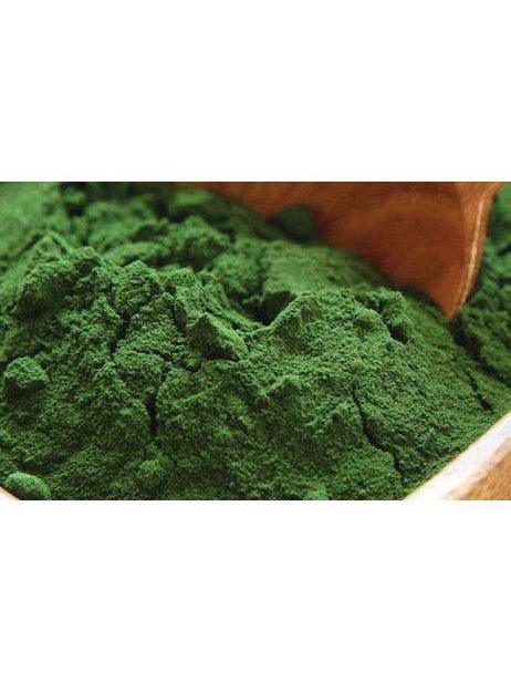 Poudre de chlorelle, biologique 1oz
