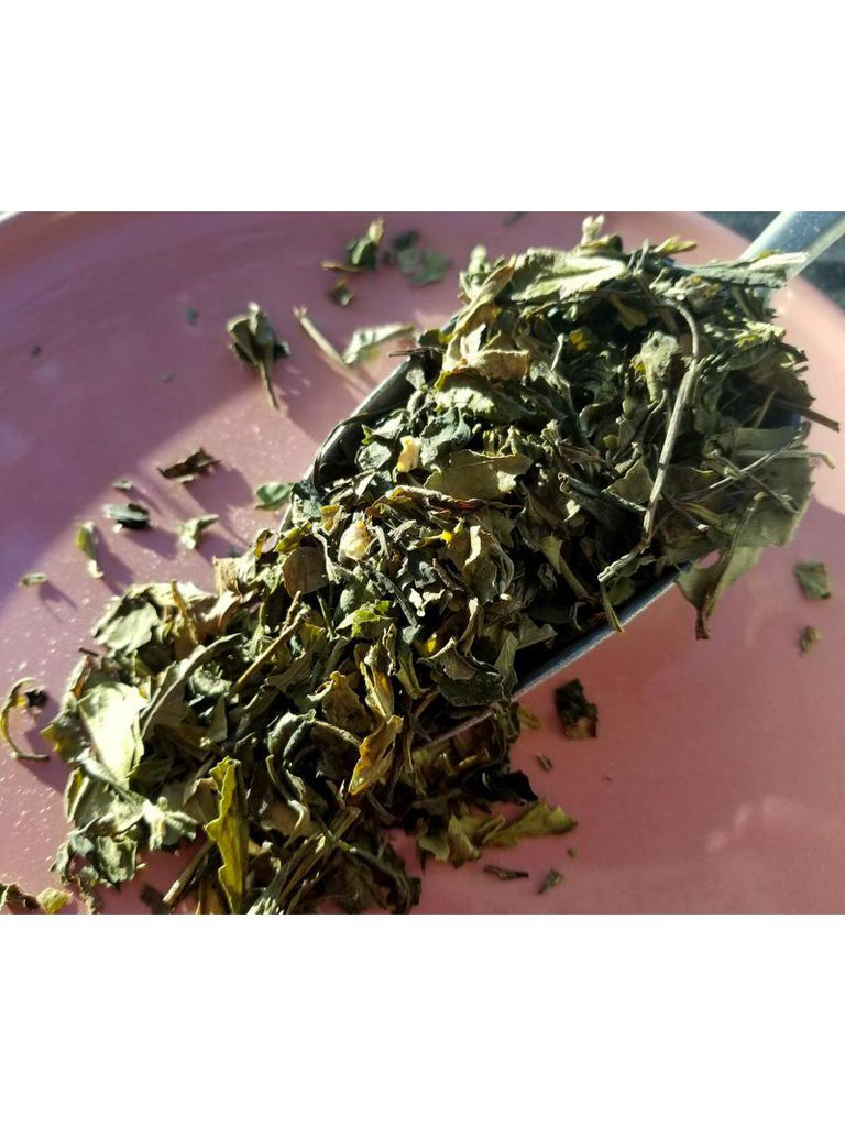 Creamsicle White Tea, 1oz