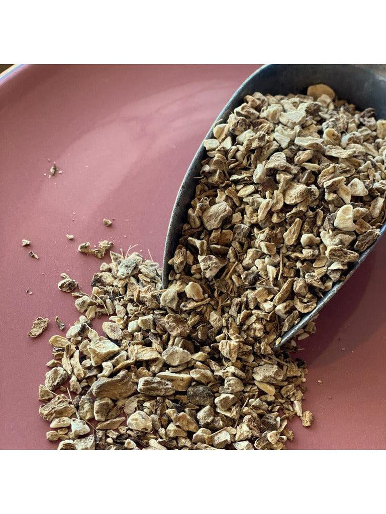 Elecampane Root , Organic 1oz