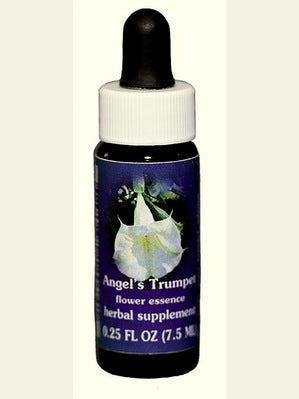 FES Trompette des Anges