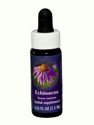 FES Échinacée
