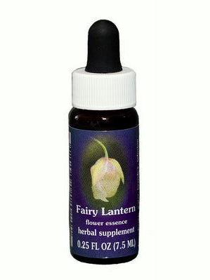 Lanterne féerique FES