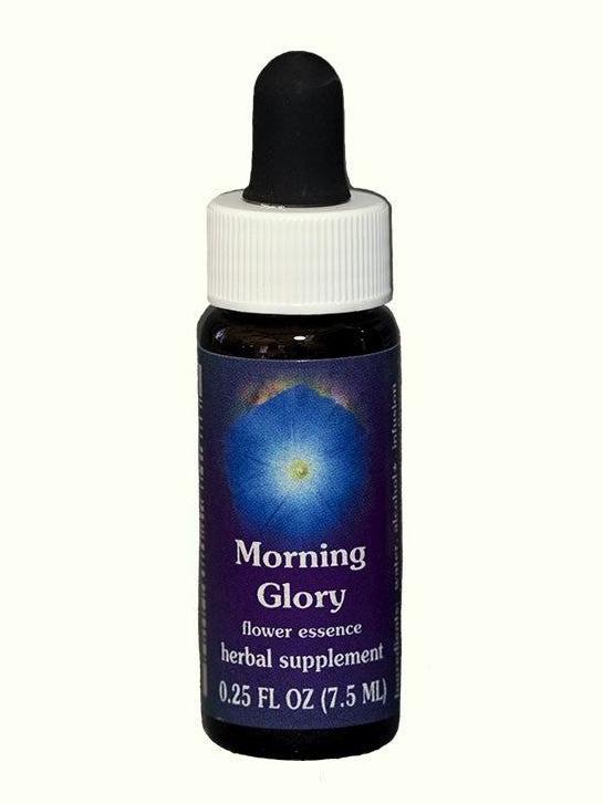 Gloria de la mañana de FES