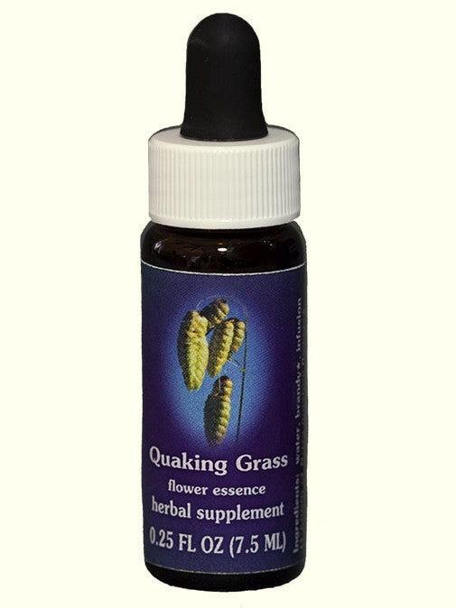 Herbe tremblante de FES