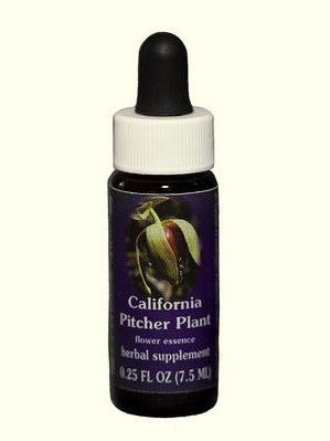 Usine de pichet FES en Californie