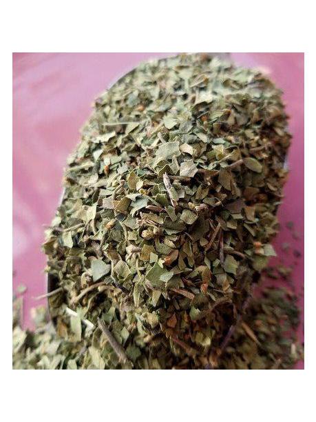 Gymnema Leaf, Organic 1oz