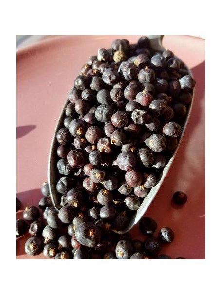 Juniper Berries, Organic 1oz
