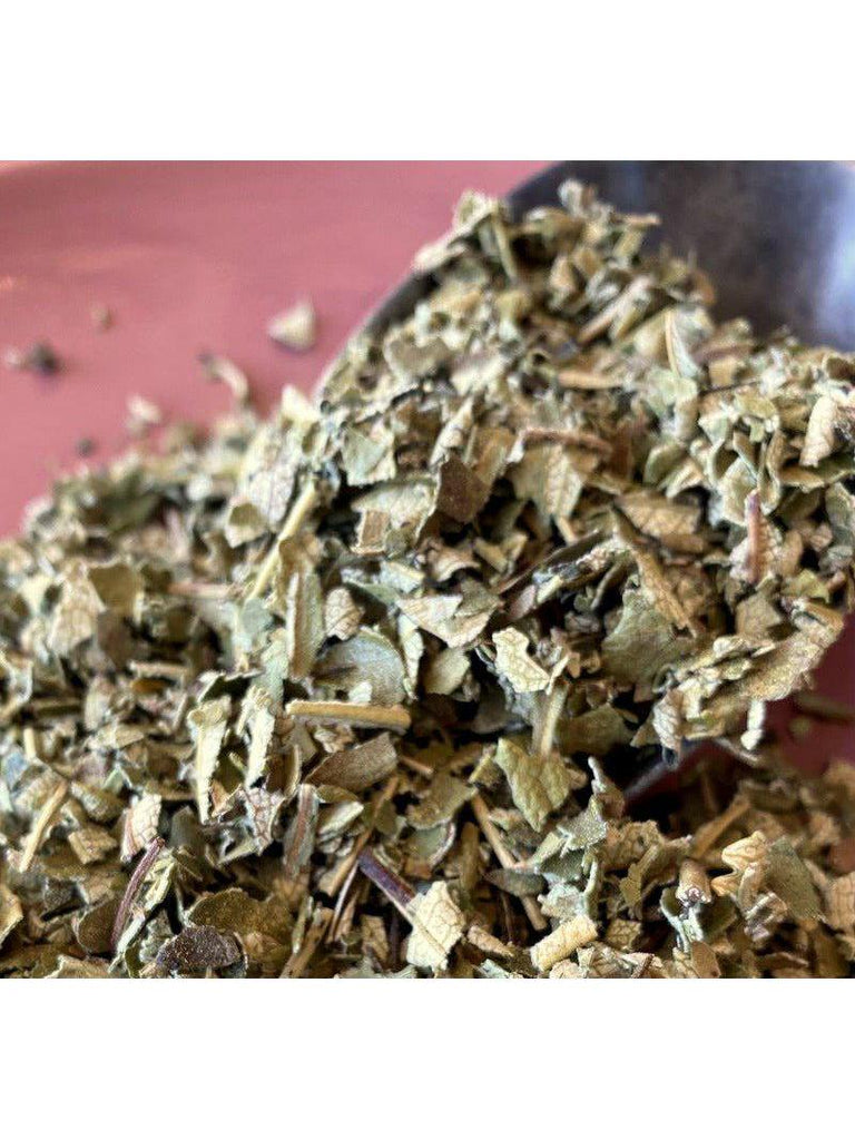 Feuille de Yerba Santa, fabriquée à l'état sauvage, 1 oz