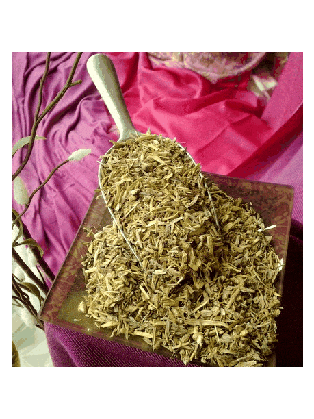 Angelica Root, organic 1oz