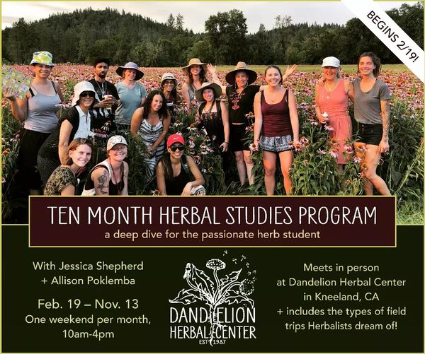 10-Month Herbal Studies Starts Soon!