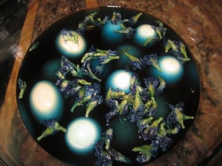 Dying Eggs with Butterfly Pea!