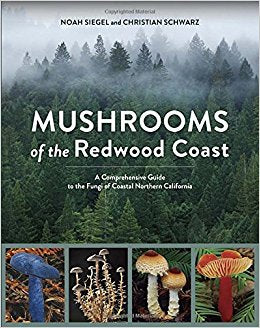Mushroom Madness - #herbblurbs