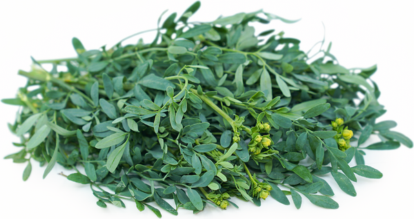 Feuille de rue biologique, 1oz