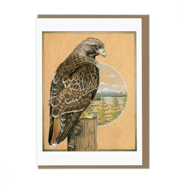 Red-Tailed Hawk - Blank Card