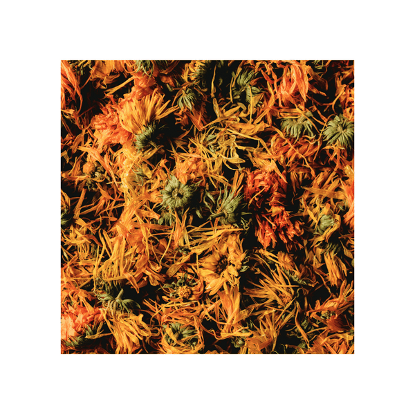 Calendula Flowers, LOCAL Organic 1oz