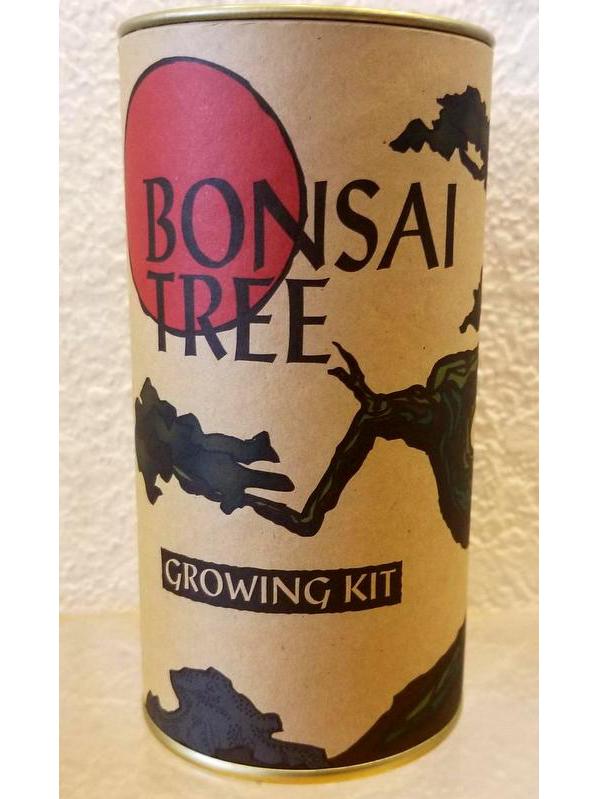 Kit de semillas de árbol bonsái