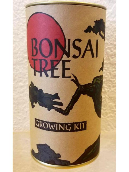 Bonsai Tree Seed Kit