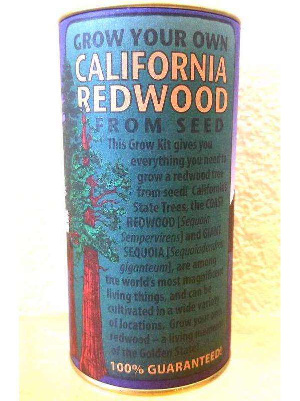 Coastal Redwood Seed Kit