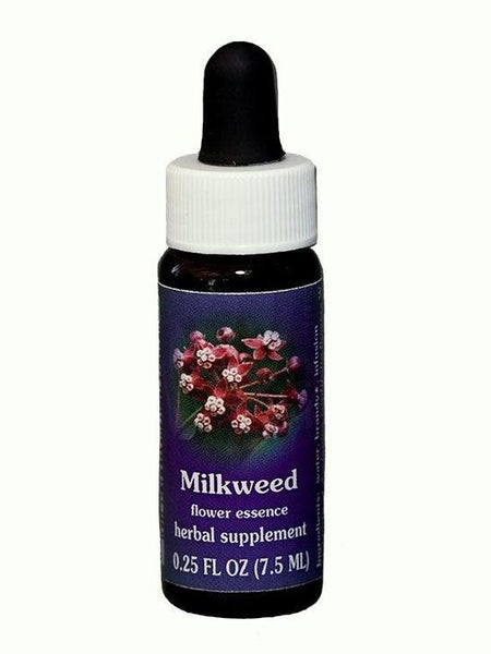 FES Milkweed