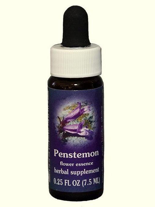 FES Penstemon