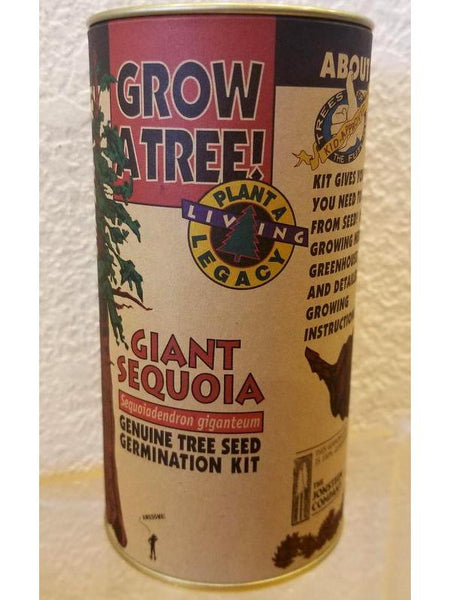 Giant Sequoia Tree Seed Kit