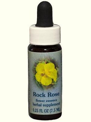 FES Rock Rose