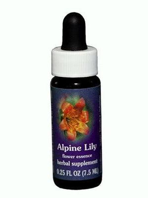 FES Alpine Lily